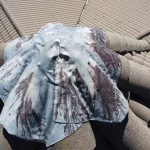 Tile Roof Inspection